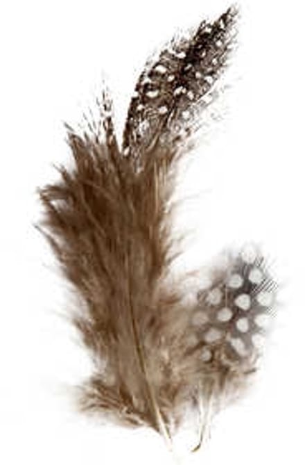 Veren van parelhoen, ca. 100 stuk, bruin, 3 gr/ 1 doos
