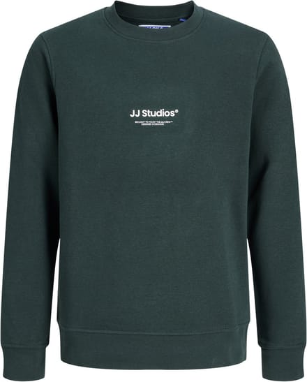 JACK & JONES- JJESOHO SWEAT CREW NECK SN JNR - Jongens - Sweatshirt