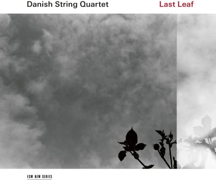 The Danish String Quartet - Last Leaf (CD)