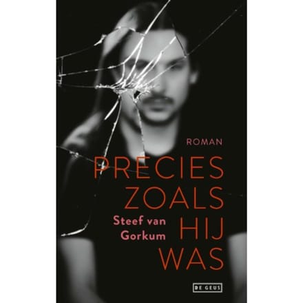 Precies Zoals Hij Was - Steef van Gorkum