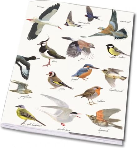 Schrift A5: Collage vogels, Elwin van der Kolk, Vogelbescherming Nederland