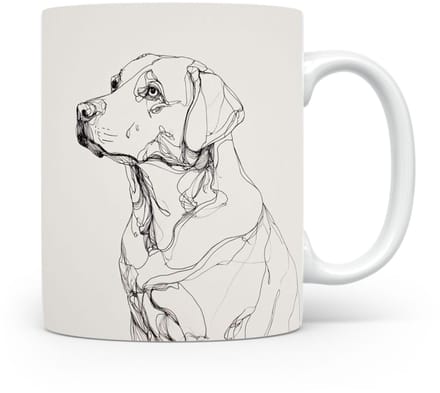 Beker Labrador Retriever