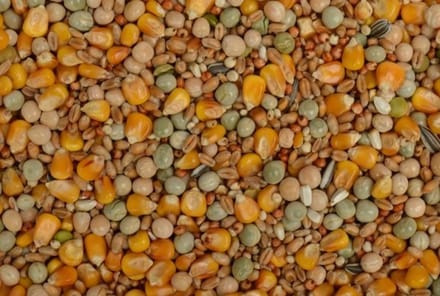 Uniestar Excellent Kweek/Vlieg 20 kg