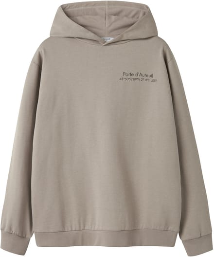 NAME IT - TAMCOX LS HOOD LOGO SWEAT BRU NOOS - Heren - Sweaters