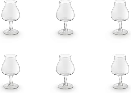 Royal Leerdam Specials Bierglas 250 ml - 6 stuks