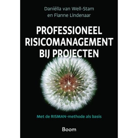 Professioneel Risicomanagement Bij Projecten - Daniella van Well-Stam