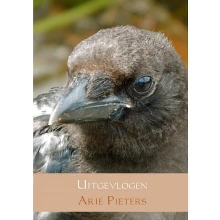 Uitgevlogen - Arie Pieters
