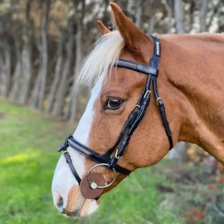 Snaffle hoofdstel met afneembare neusriem Cavaletti Goldy