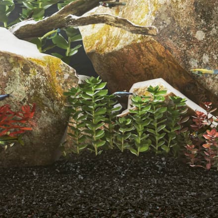 Vidaxl Sable Pour Aquarium, 10 Kg, Noir, 0,2-2 Mm