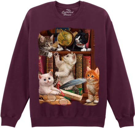 Kitttens In The Library The Coloured House Sweater 3XL