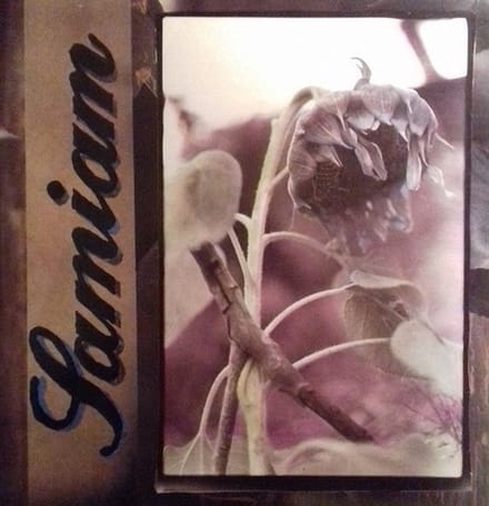 Samiam - Samiam (LP)
