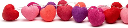 Happy Lights hartjesslinger Wild Berry - 20 LED USB