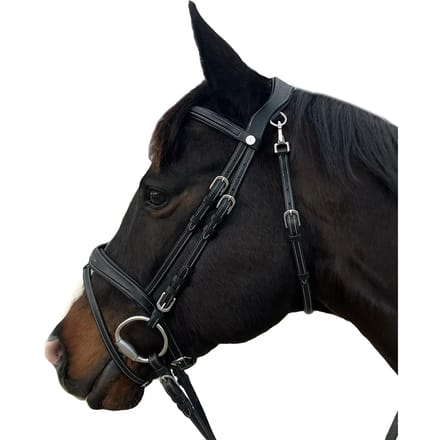 Hoofdstellen voor paarden Flags&Cup New York