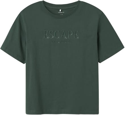 NAME IT - NKMLAURENT SS NREG TOP - Jongens - T-shirts