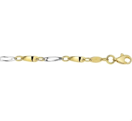 Huiscollectie Armband 2,5 Mm 19 Cm