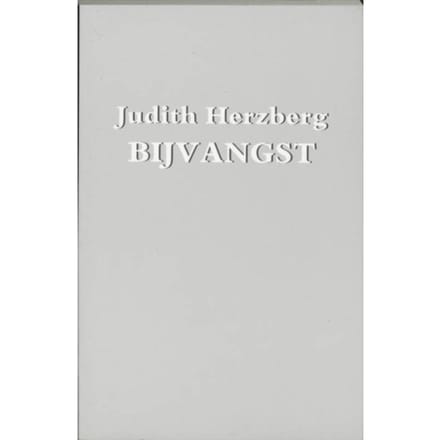 Bijvangst - Judith Herzberg