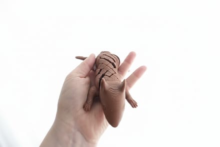 3D-geprinte Beweegbare Eekhoorn – 23 cm – Verzamelbeeldje & Bureaudecoratie