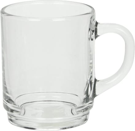 6 theeglazen met oor 25cl