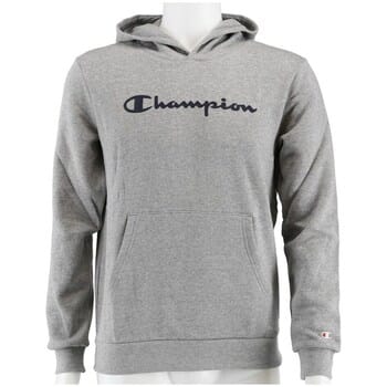 Capuchon sweaters Champion Big Logo Print