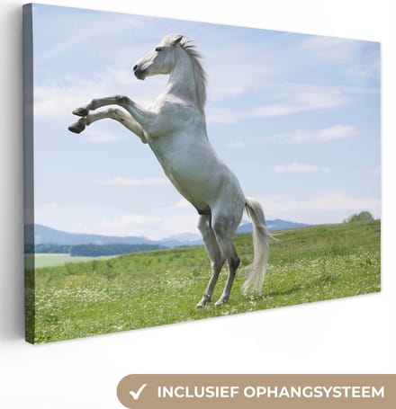 Canvas Schilderij Paard - Steigeren - Natuur - 30x20 cm - Wanddecoratie