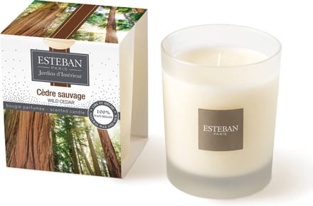 Esteban Cedre Sauvage Geurkaars 170g