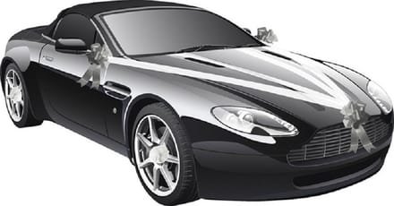 Chaks Trouwauto decoratie lint - wit/ zilver - just married - bruiloft benodigdheden