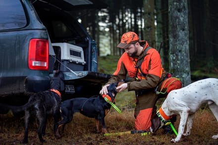Härkila Wildboar Pro trousers-56