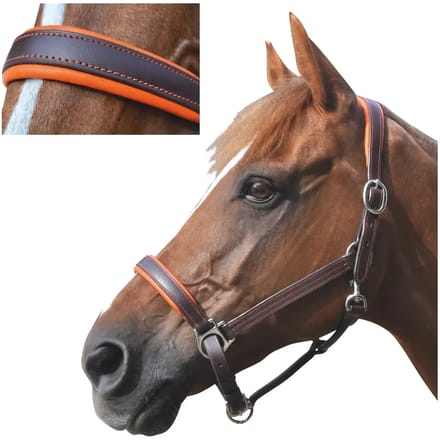 Gevoerd lederen halster voor paarden Canter