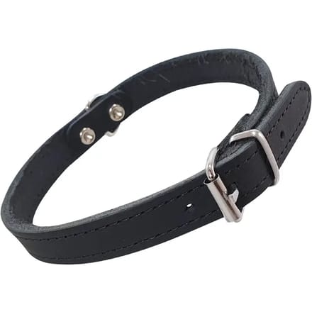 Hondenhalsband Nobby Pet Tabil