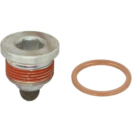 Schroef plug oliepan DT Spare Parts 2.91310