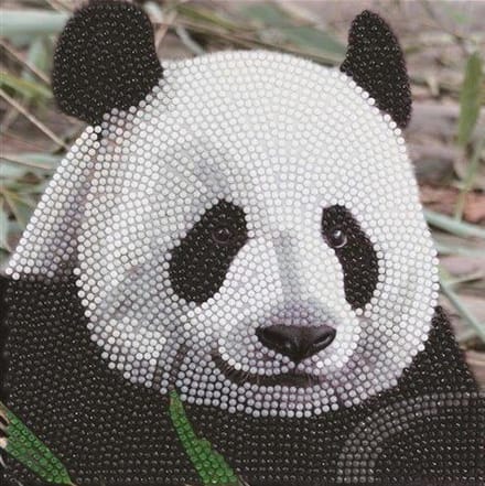 Crystal Card Kit | Diamond painting Funny Face Panda