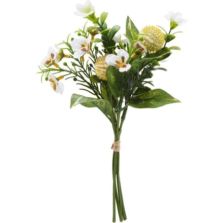 Bloementros "Viola" - Créme