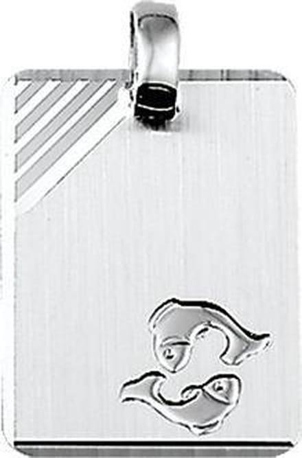 Graveerhanger sterrenbeeld Vissen gediamanteerd - PSN1323569
