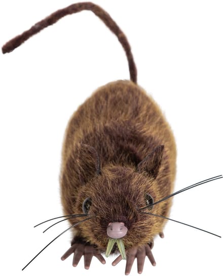 Bruine Rat 15 cm met nepharen