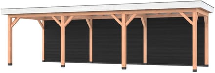 Douglas overkapping, 900 x 300, met achterwand, Westwood Holland Basic