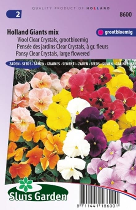 Viool Clear Crystals, Holland Giants mix
