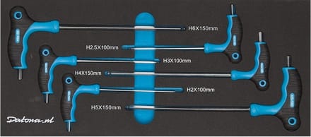Datona® 6-delige inbussleutelset met T-greep in Pro softmodule - H2 tot H6