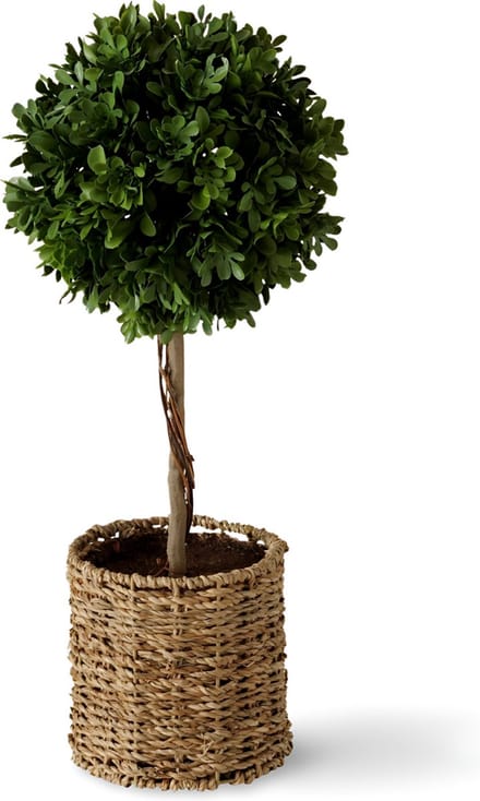 Kunstplant Buxus In Pot