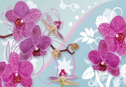 Fotobehang Orchid Flowers Pattern | XL - 208cm x 146cm | 130g/m2 Vlies