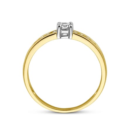 Ring Zirkonia