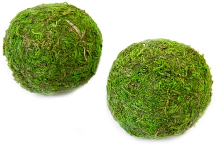 HOBI - 2 groene natuurlijke mosballen 7 cm tafeldecoratie