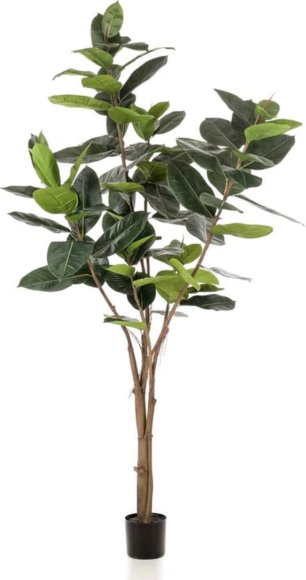 Emerald - Kunstboom Ficus Elastica 210cm - Kunstplant voor binnen