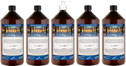 Hairconditioner Hammam Herbal 1 liter met witte pomp - set van 5 stuks
