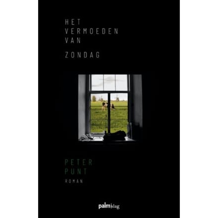 Het Vermoeden Van Zondag - Peter Punt