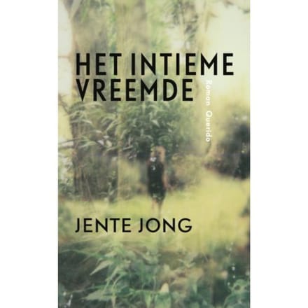 Het Intieme Vreemde - Jente Jong