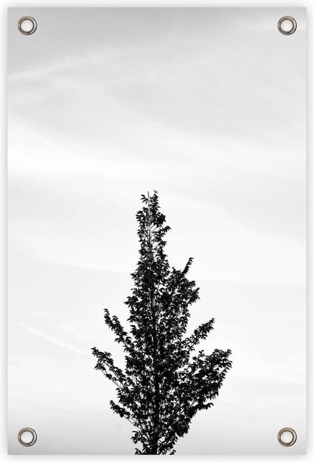 Tuinposter “Boom” - “60x90cm” - poster tuin