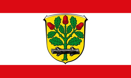 Vlag Langen 100x150cm