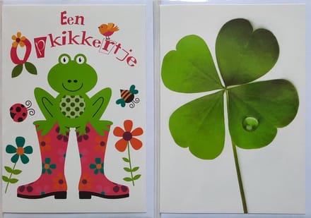 2 Wenskaarten - Een Opkikkertje + Blanco Kaart Klavertje 4 - 12 x 17 cm