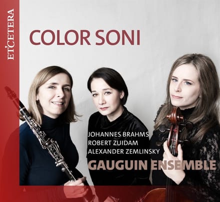 Gauguin Ensemble - Color Soni (CD)