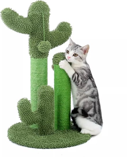 CozyPups Krabpaal - Cactus Design - Groen - 42x42x69cm